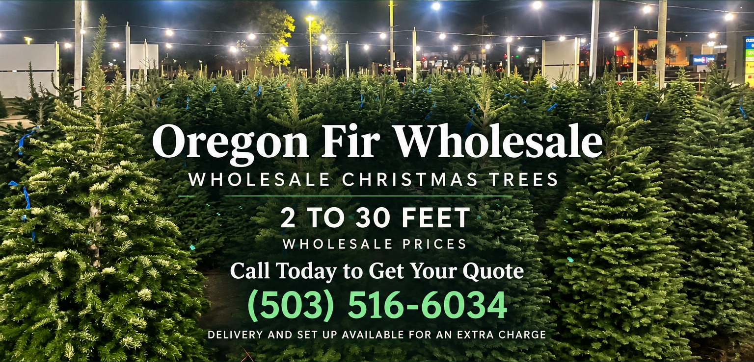 Oregon Fir Wholesale, wholesale Christmas trees from 2 to 30 feet, call today to get your quote at (503) 516-6034
